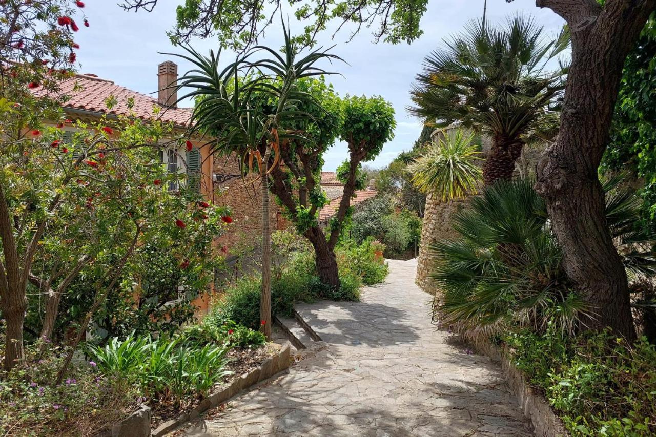 Bright 29M With Nice View In Bormes-Les-Mimosas Apartment Exterior photo